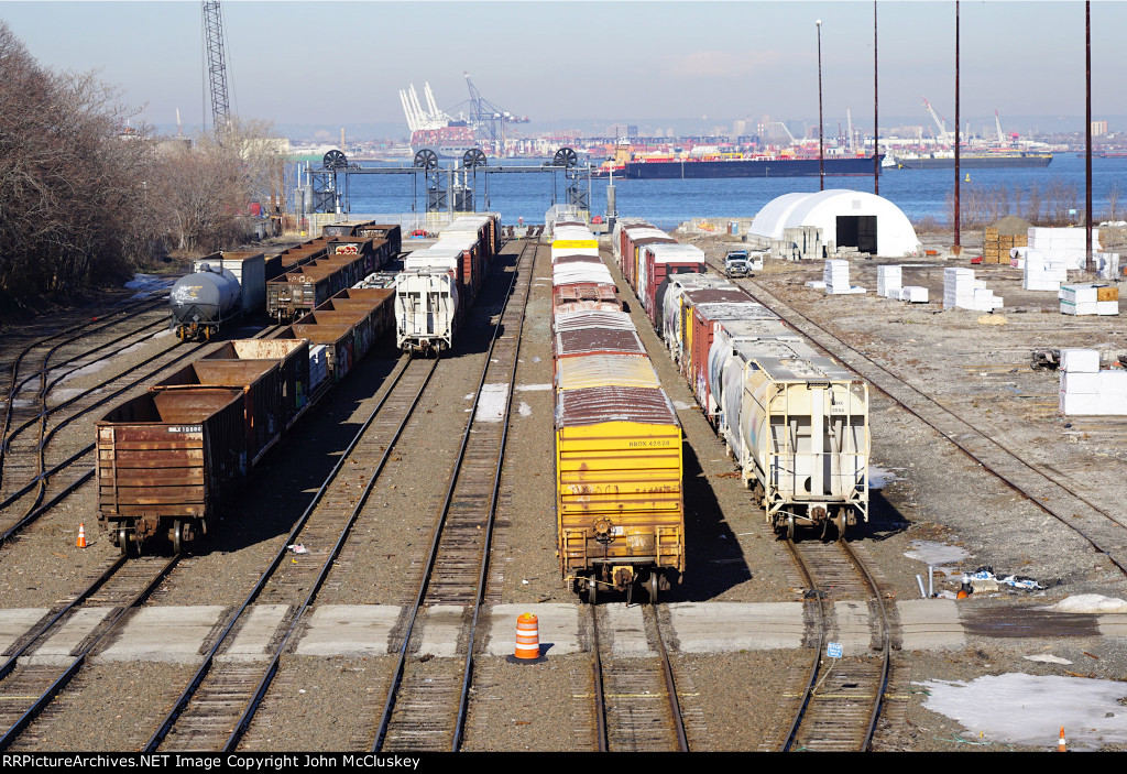 Busy yard